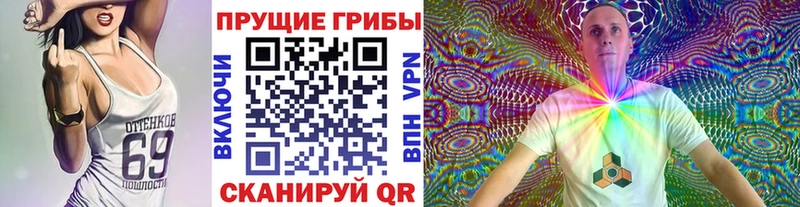 сколько стоит  Нестеровская  mega онион  Псилоцибиновые грибы Cubensis 